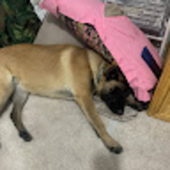 Meet your Posher, Joseph - Picture 1 of 1